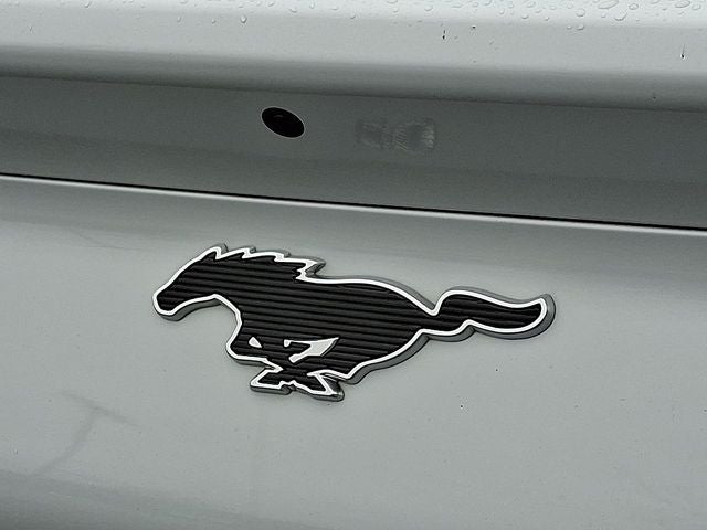 2021 Ford Mustang Mach-E Select