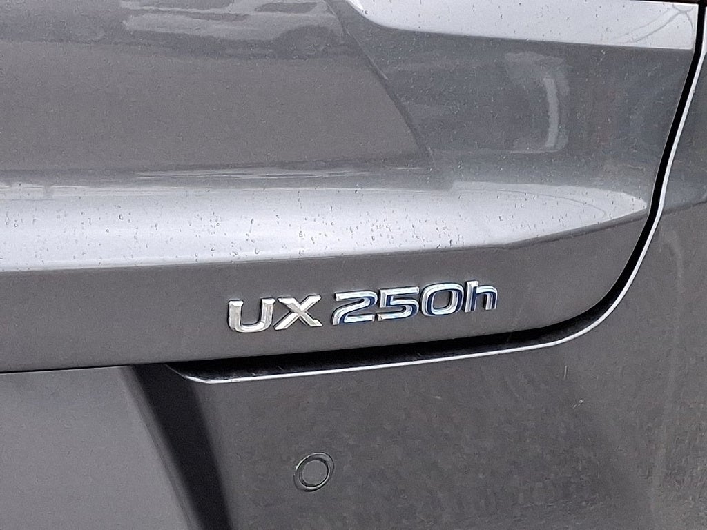 2019 Lexus UX 250h Base